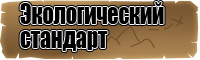 Толстовки с надписями женские с капюшоном